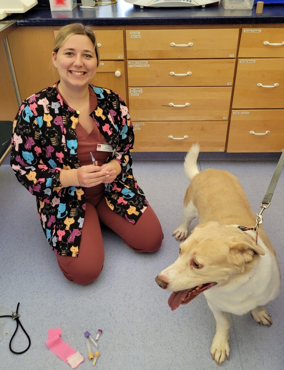 Veterinarian In Grafton, WI 53024 Best Friends Veterinary Center