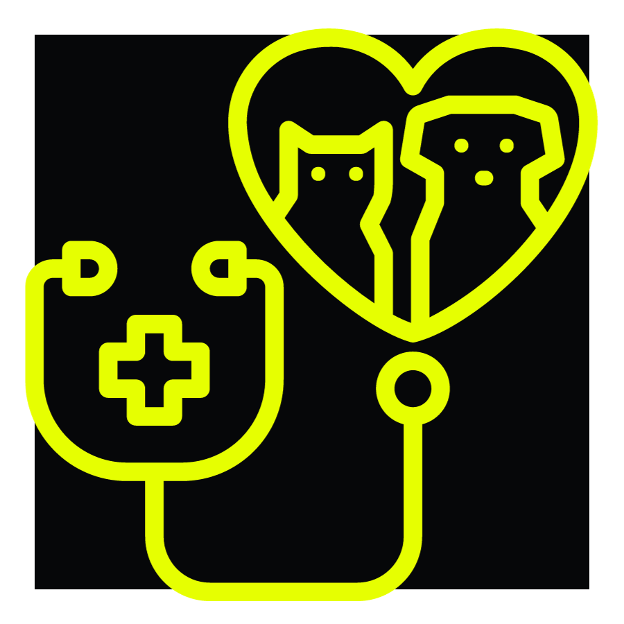 Health Care Plans icon