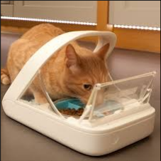 a cat eating from a cat food container