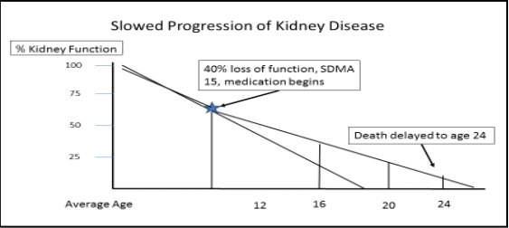 a diagram of a disease