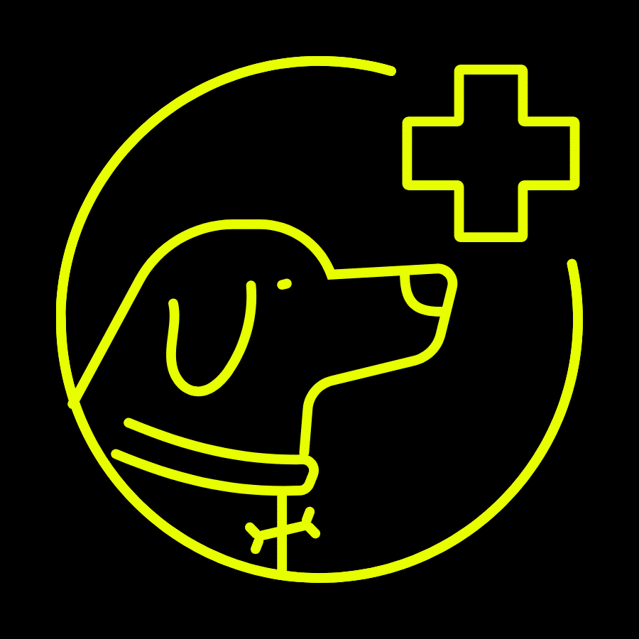 Canine Rehabilitation Icon