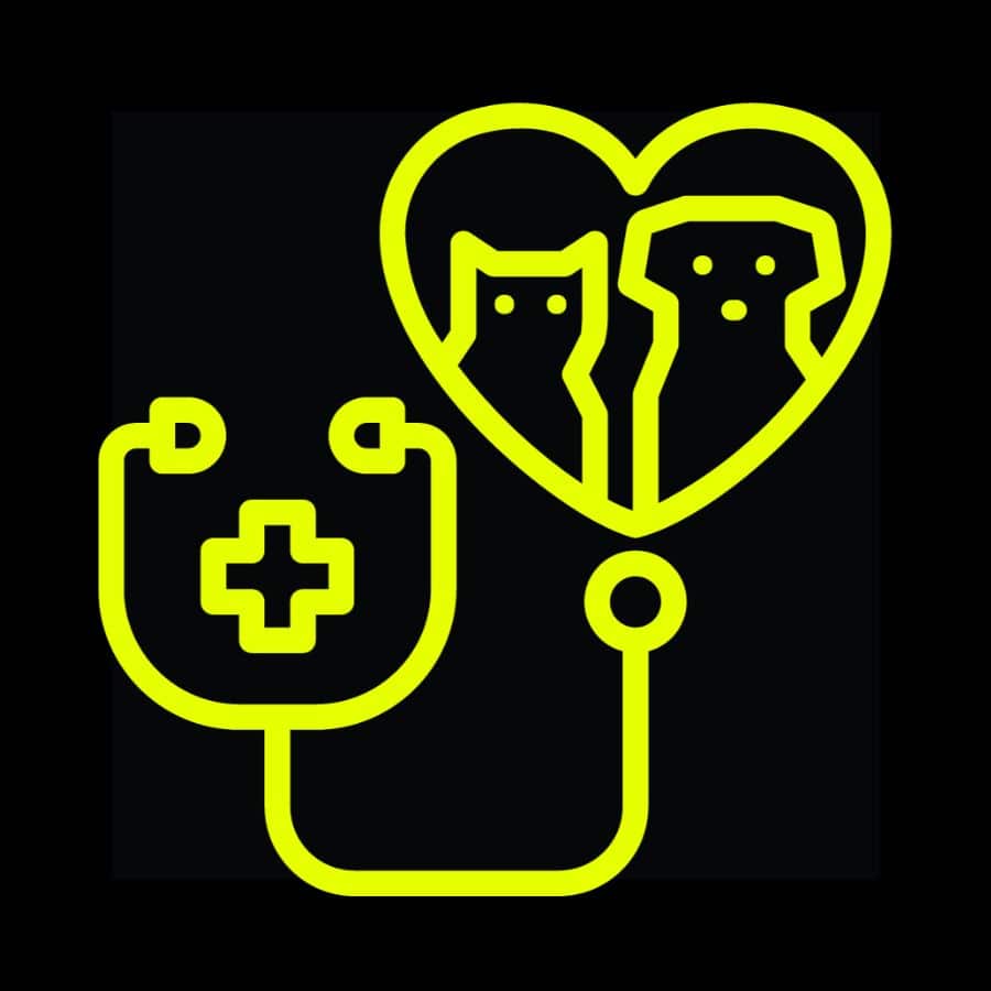 Health Care Plans Icons