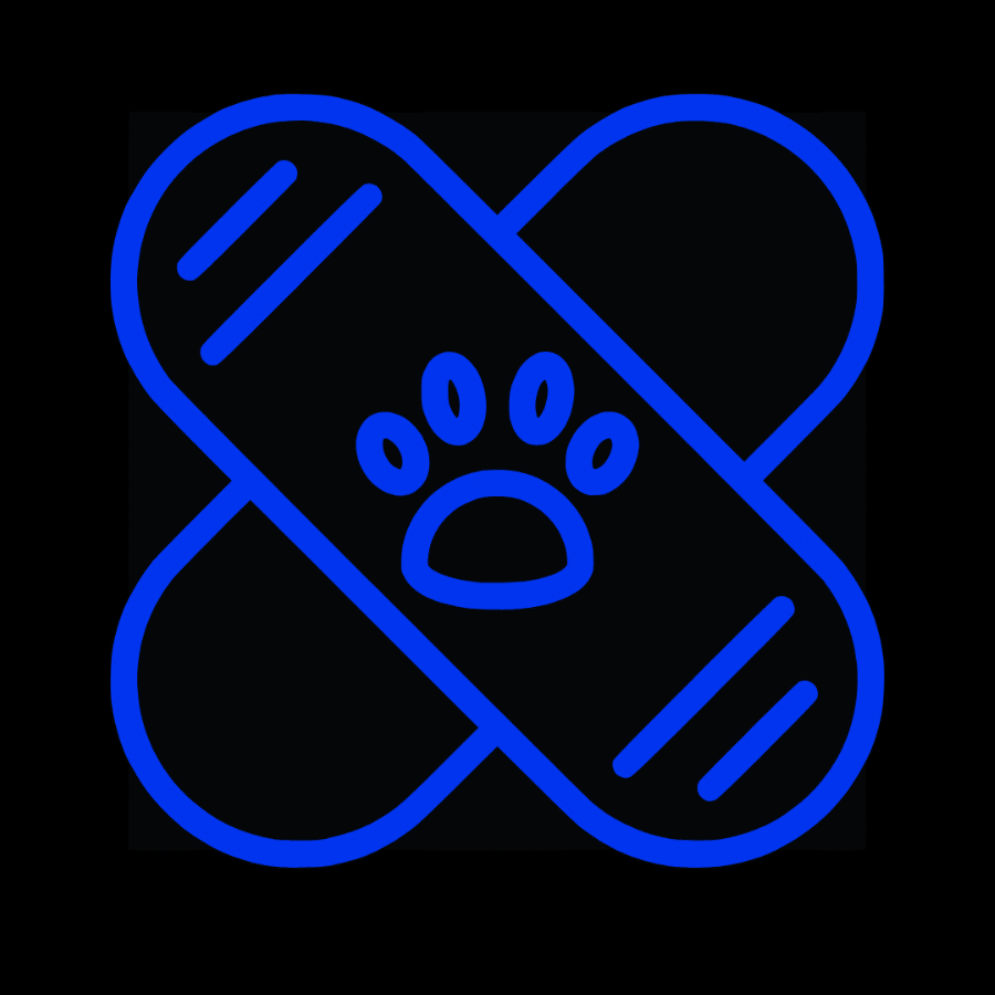 Pet General Medicine icon