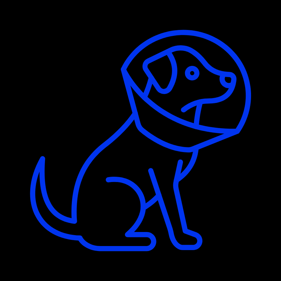 Pet Surgical Procedures Icon