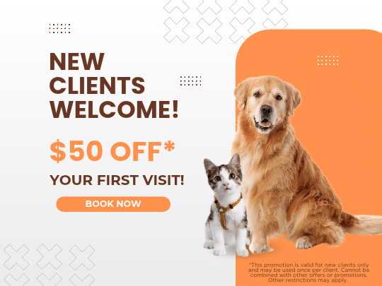 New clients welcome 50-off